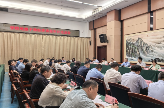 国产精品偷伦视频观看免费