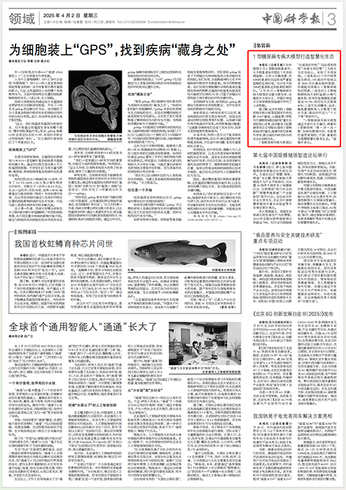国产精品偷伦视频观看免费
