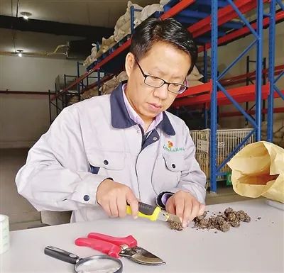 国产精品偷伦视频观看免费