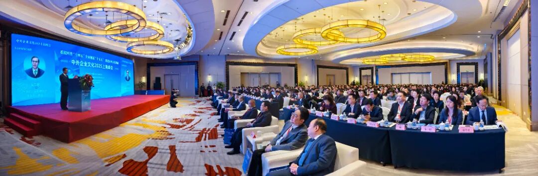 国产精品偷伦视频观看免费